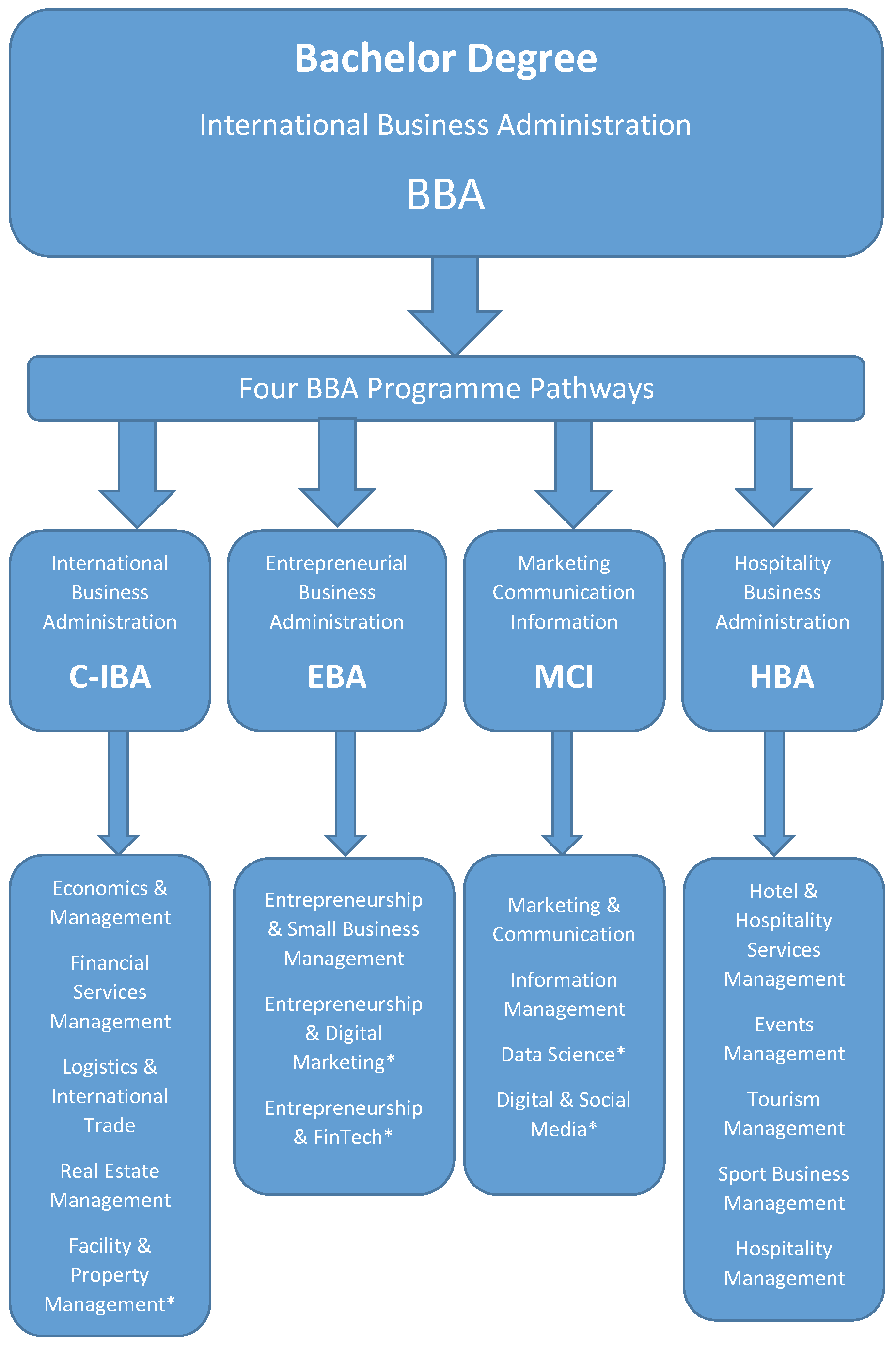 4 Pathways of BBA Programme